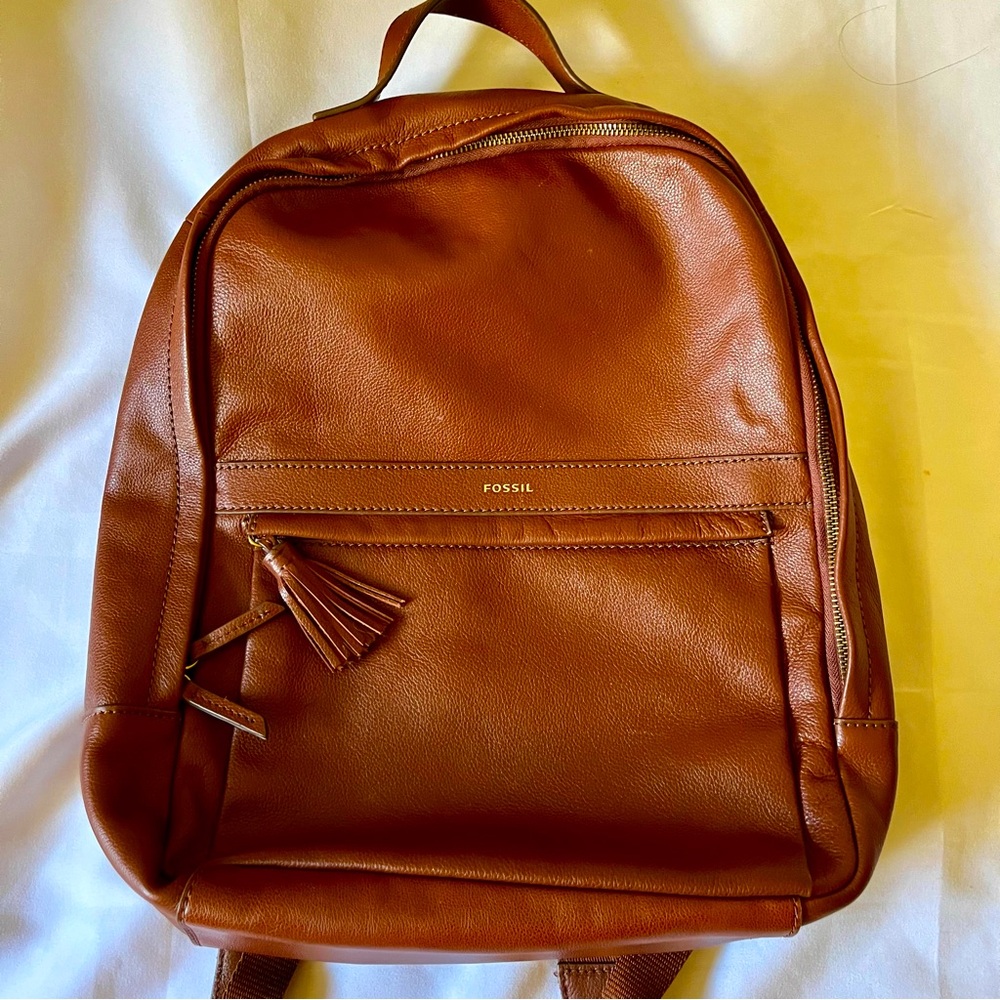 Fossil Medium Brown Backpack